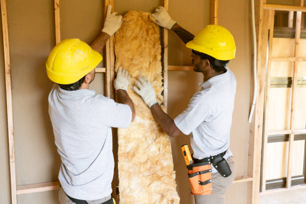 Best Attic Insulation Installation in Temple, PA