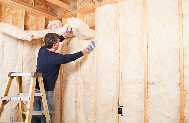 Best Crawl Space Insulation in Temple, PA